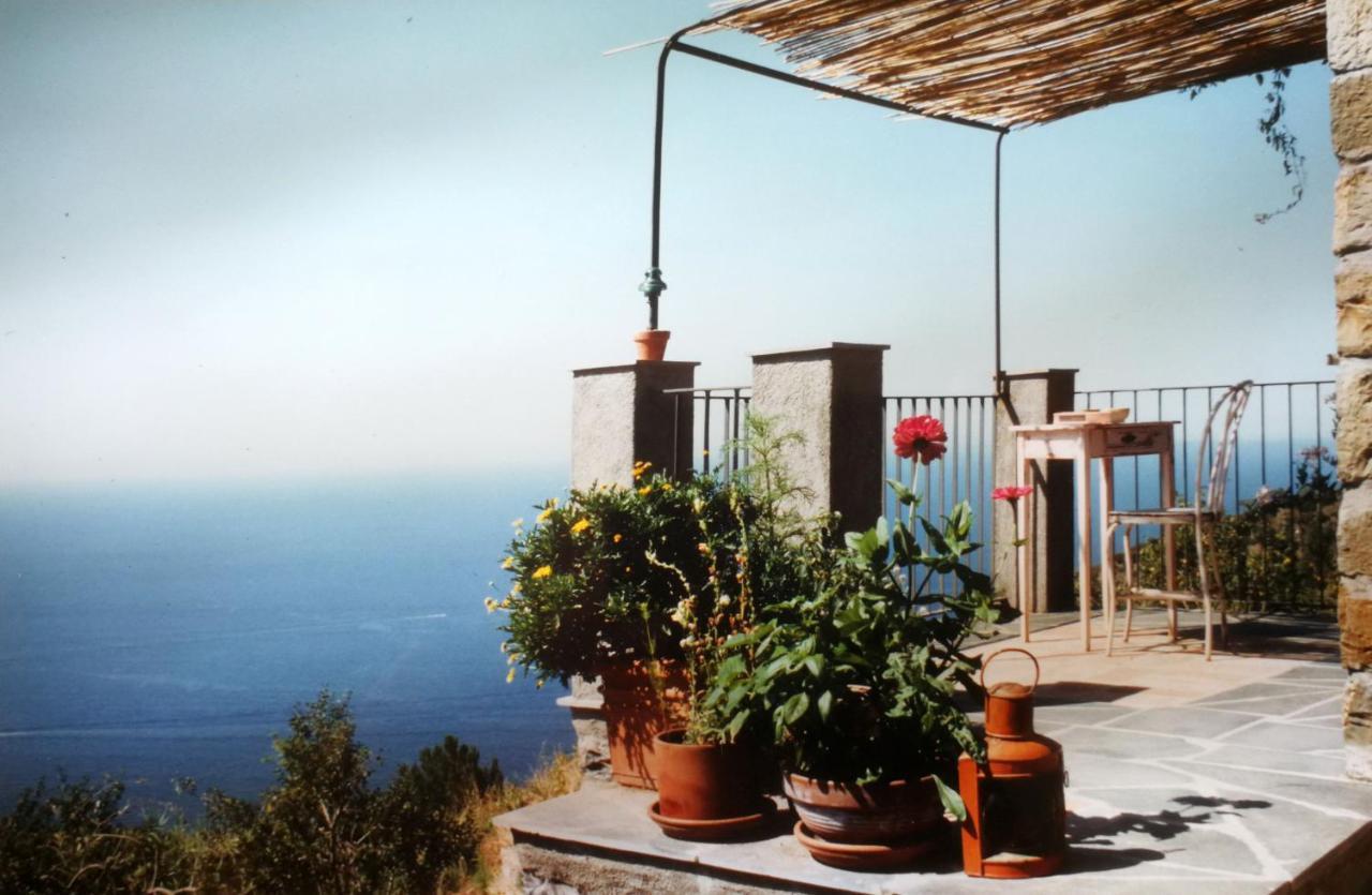 Reggimonti Cottage La Casa Del Pittore מראה חיצוני תמונה