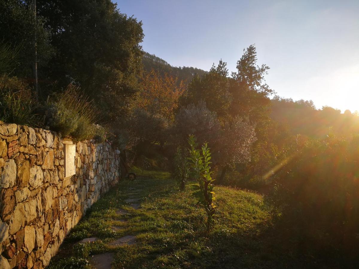 Reggimonti Cottage La Casa Del Pittore מראה חיצוני תמונה