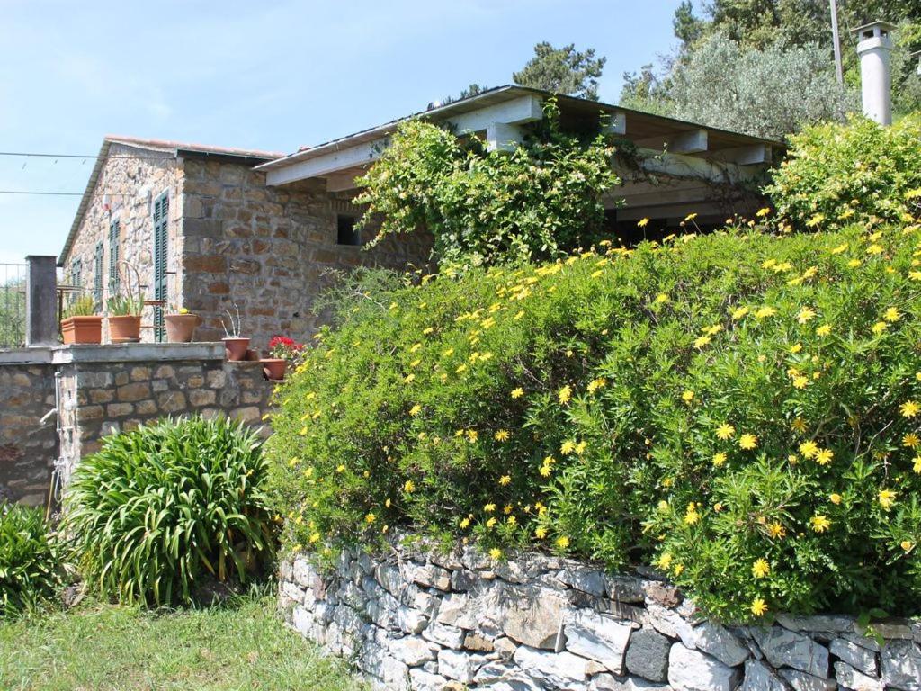 Reggimonti Cottage La Casa Del Pittore מראה חיצוני תמונה